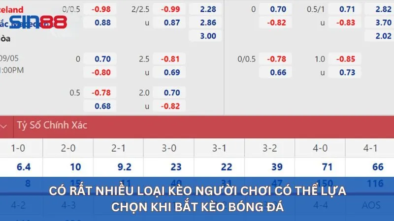 Có rất nhiều loại kèo mà người chơi có thể lựa chọn khi tham gia cá cược bóng đá.