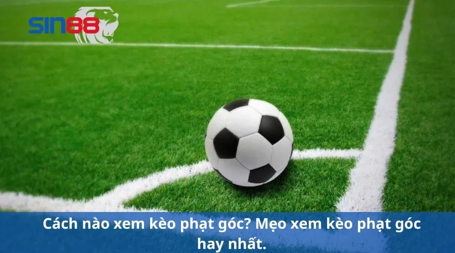 Cách Xem Kèo Phạt Góc Cơ Bản Cho Người Mới Tham Gia